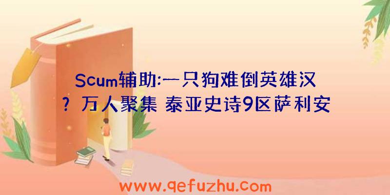 Scum辅助:一只狗难倒英雄汉？万人聚集